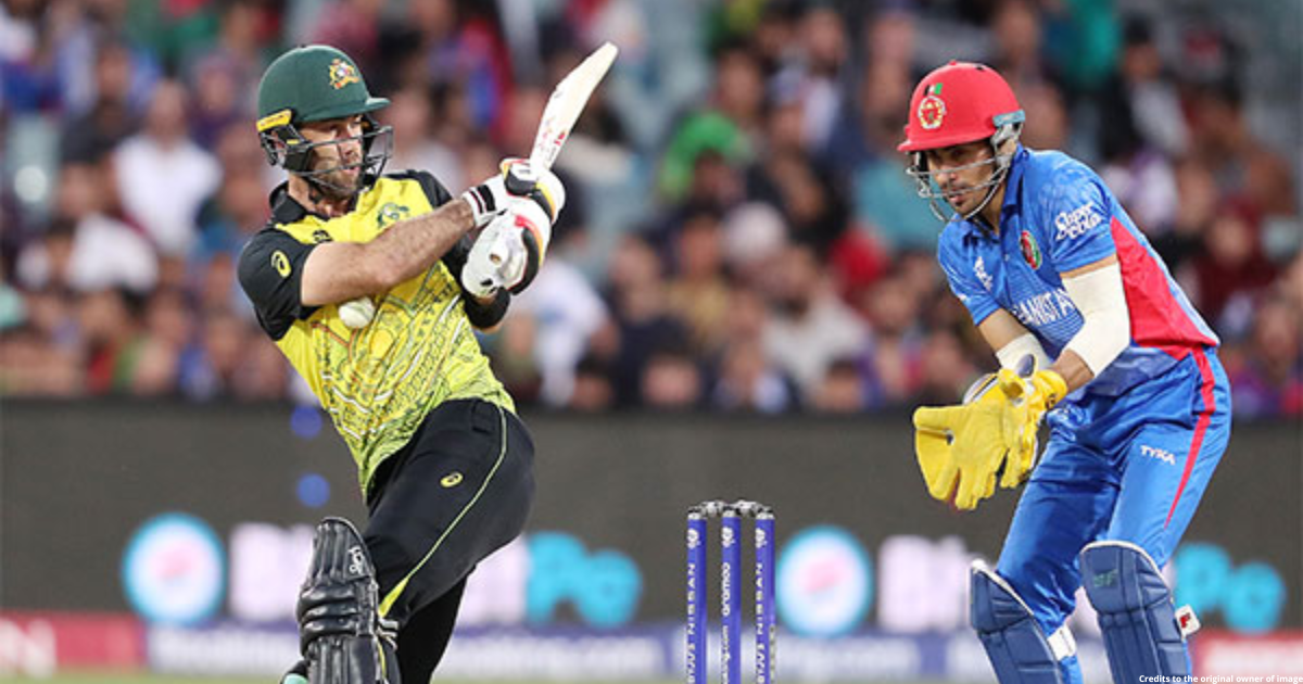 T20 WC: Maxwell's gritty fifty propels Australia to 168/8 against Afghanistan